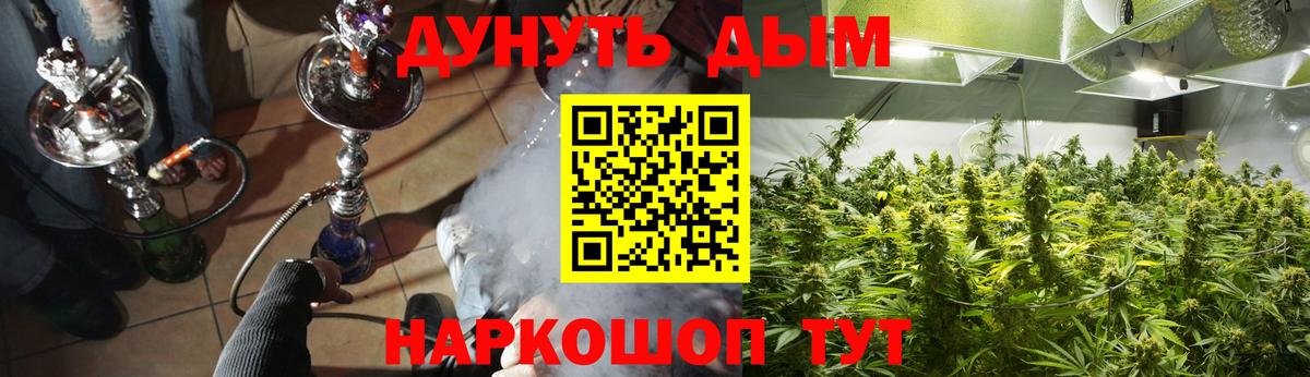 Бошки Шишки ГИДРОПОН  МАРИХУАНА AK-47  Назрань  Конопля конопля  Вход с VPN 